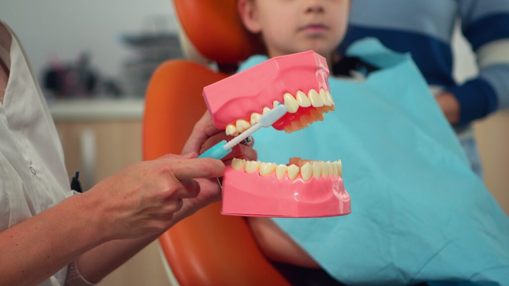 a dentist in West Hollywood Smile Dental cleaning a dummy tooth